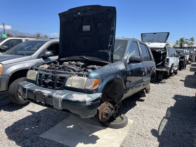 Catalog item POM063910