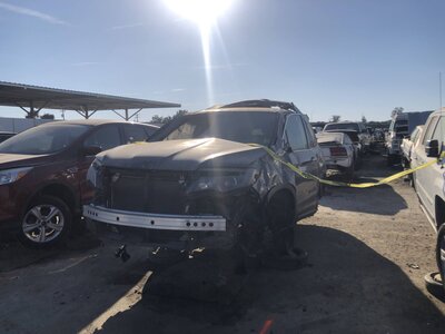 Catalog item FRE105793