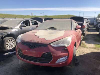 Catalog item FRE111435