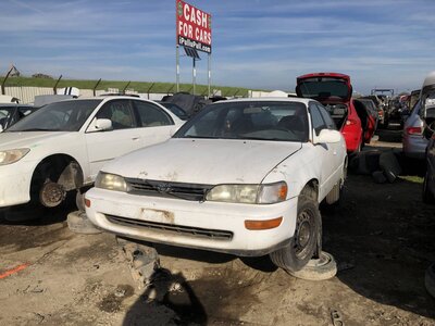 Catalog item FRE111398