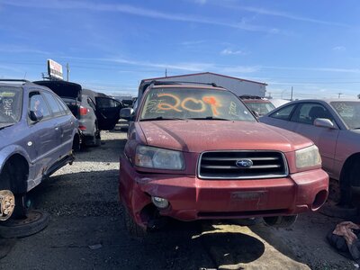 Artículo del catálogo STK055719