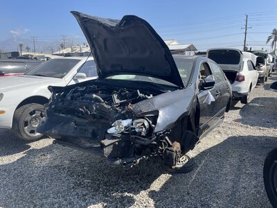 Catalog item POM062900