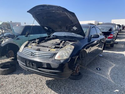 Catalog item POM062967