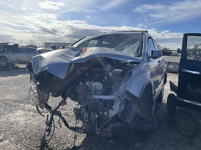 Catalog item POM060576