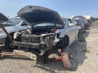 Catalog item POM063260