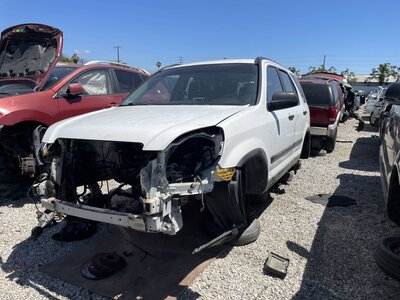 Catalog item POM063940