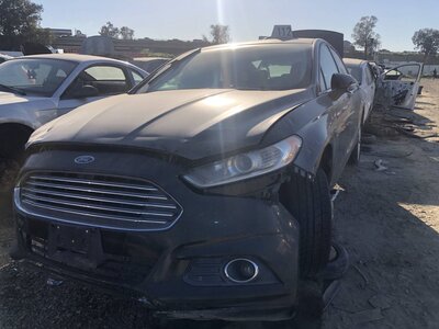 Catalog item FRE109598