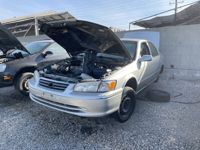 Catalog item POM063241