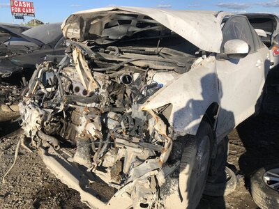 Catalog item FRE107694