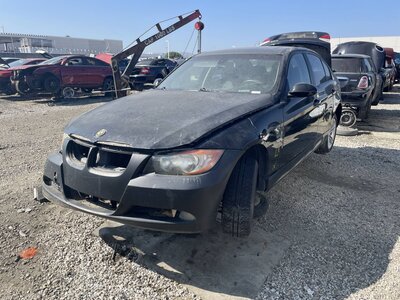 Catalog item POM062931