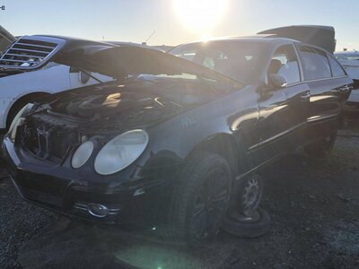 Catalog item FRE109856