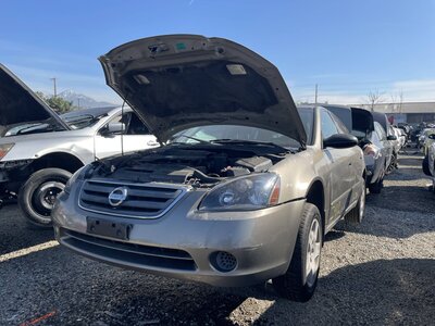 Catalog item POM062779