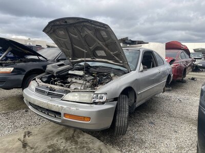 Catalog item POM063572