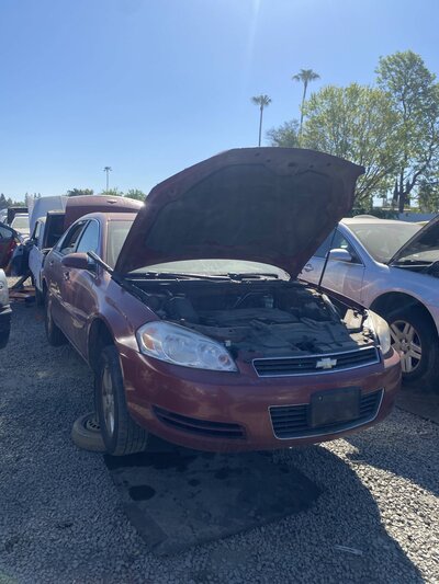 Artículo del catálogo SAC047781