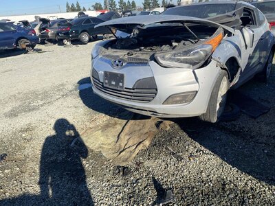 Catalog item SAC040265