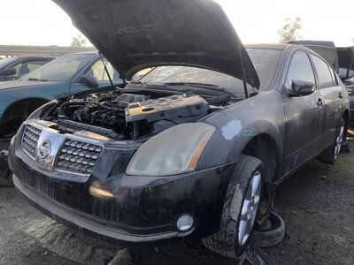 Catalog item FRE110241