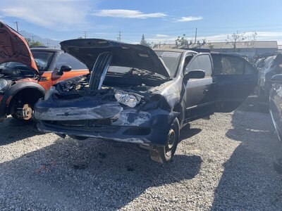 Catalog item POM063591