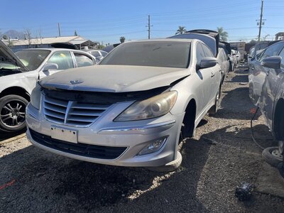 Catalog item POM063326