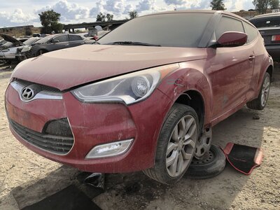 Catalog item FRE111877