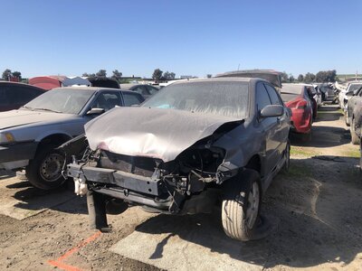 Catalog item FRE110284