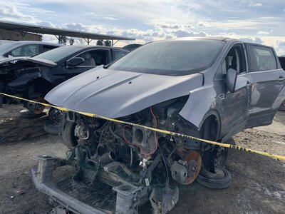 Catalog item FRE107656