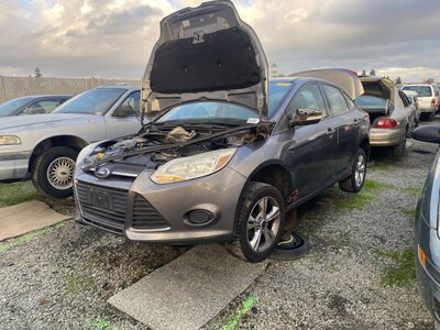 Catalog item SAC045034