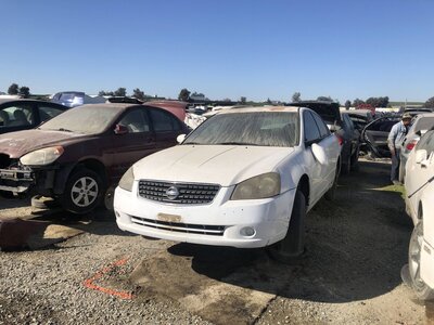 Catalog item FRE111596