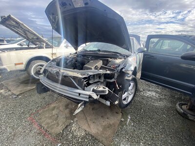 Catalog item SAC046519