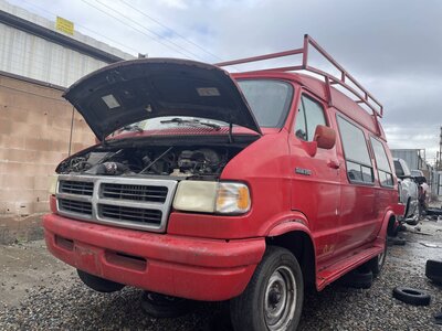 Catalog item POM062379