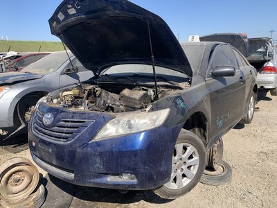 Catalog item FRE111675