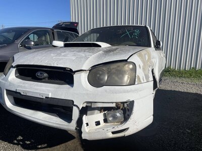 Artículo del catálogo STK055339