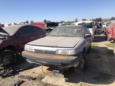 Catalog item FRE111593