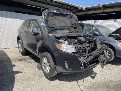 Catalog item POM063360