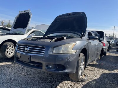 Catalog item POM062738