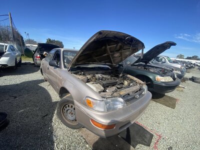 Catalog item SAC047237