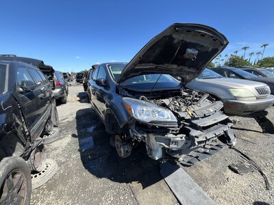 Catalog item SAC048180