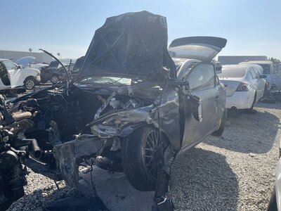 Catalog item POM063455