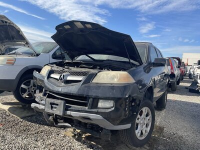 Catalog item POM062281