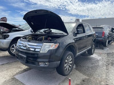 Catalog item POM063826