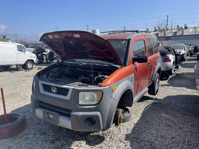 Catalog item POM062989