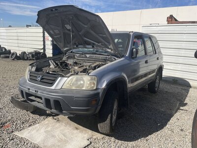 Catalog item POM063512