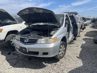 Catalog item POM062644