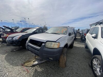 Catalog item SAC045832