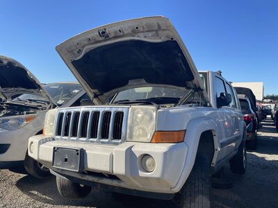 Catalog item POM061176