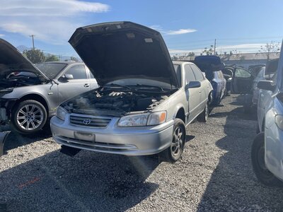 Catalog item POM063567