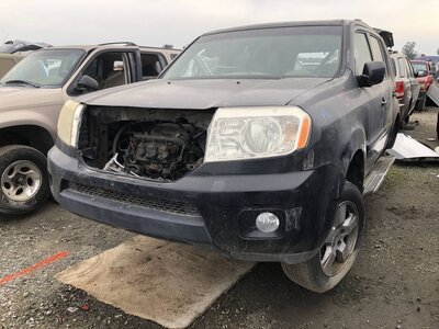 Catalog item FRE107843