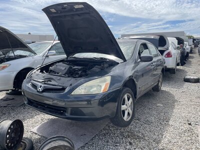 Catalog item POM063849