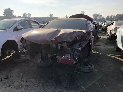 Catalog item FRE102830