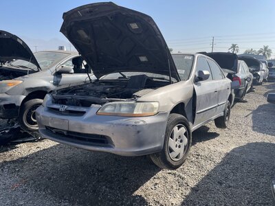 Catalog item POM063261