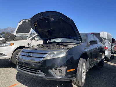 Catalog item POM062304